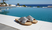 Nicoletta Slides, Silver