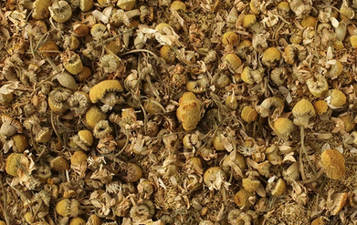 Organic Egyptian Camomile Flower, Loose Leaf, 2oz